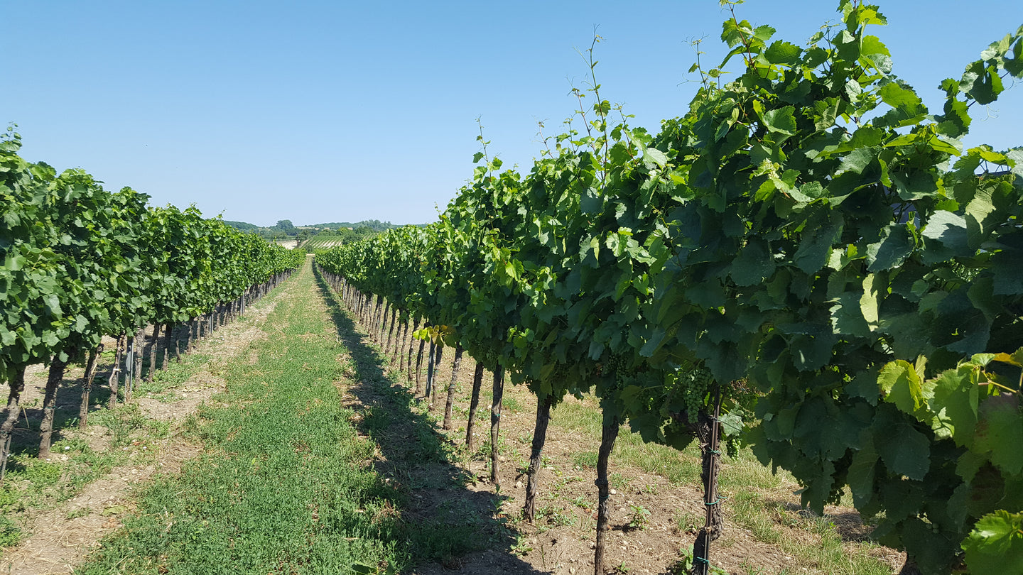 Austria Auslese