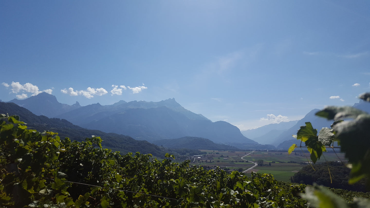 Le Grand Vin Rhône Suisse