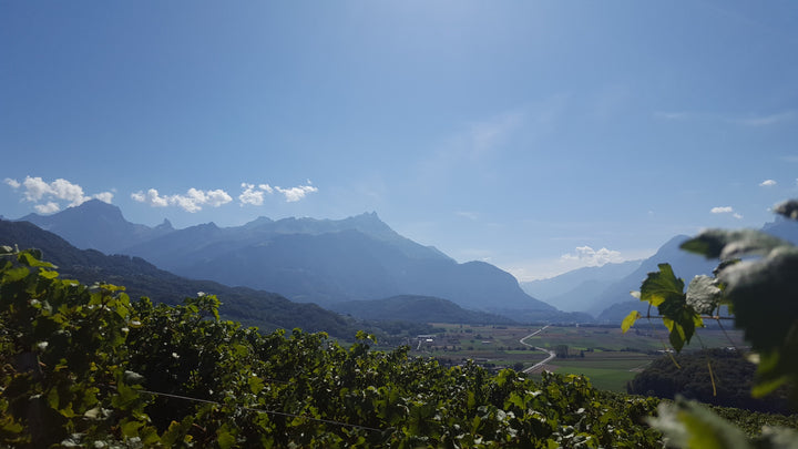 Les Grands Vins Rhône Suisse